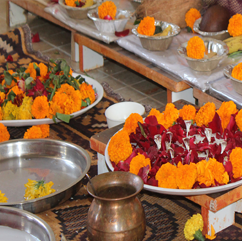 Acharya Baldev Shastri ji Trimbakeshwar